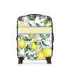 Lemons Hardshell Luggage
